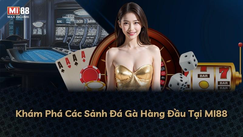 Khám Phá Các Sảnh Đá Gà Hàng Đầu Tại MI88